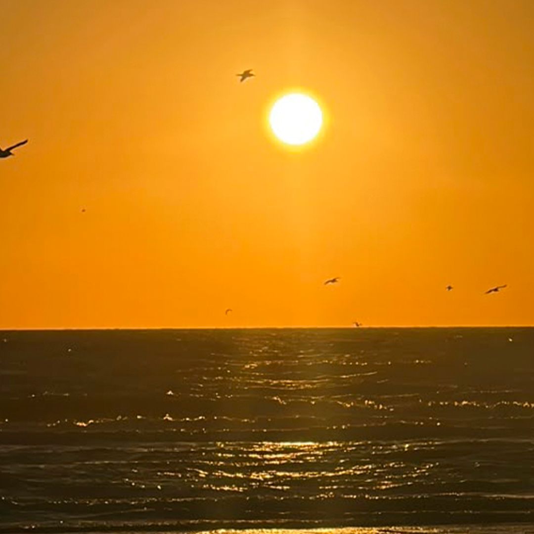 ¿Cuánto Cuesta Caseta, Gasolina y Qué Hacer en Vacaciones de Verano?